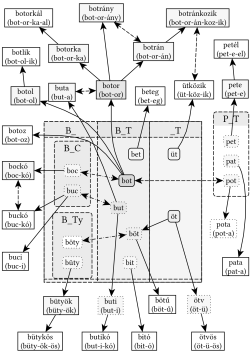 B_, B_T, _T gyökvázak kapcsolata - 