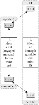 _L és _R gyökvázak kapcsolata (lét és erő) - 
