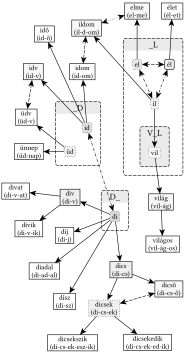D_, _D, és _L gyökvázak kapcsolata - 
