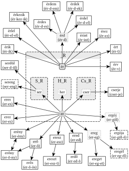 _R gyökváz (er, ér) - 