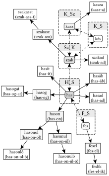 H_S gyökváz és kapcsolatai - 