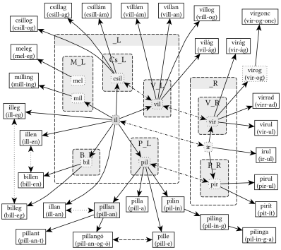 _L és _R gyökvázak kapcsolata - 