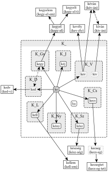 K_ gyökváz (ke) II. - 