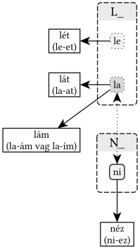 L_ gyökváz (la, le) - 