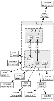 R_ gyökváz (ra, re) - 