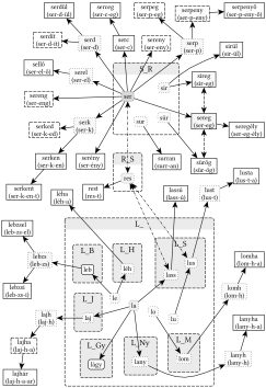 L_, R_S és S_R gyökvázak kapcsolata - 