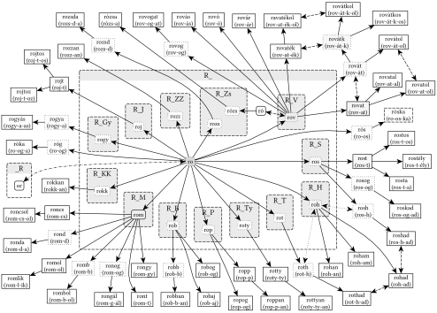 R_ gyökváz (ro, ró) - 