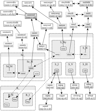 S_, SZ_ és B_ gyökvázak kapcsolata - 