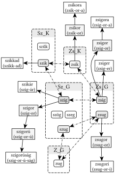 Szűkült, vékony SZ_G, SZ_K, Z_G, ZS_G, ZS_K gyökvázak kapcsolatai - 