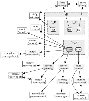 _R gyökvázból képzett F_R, S_R és SZ_R gyökvázak kapcsolatai - 