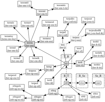 Tér T_R gyökvázának és az R_T, R_SZ és SZ_R gyökvázak kapcsolata - 