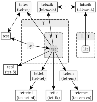 T_ (T_T) és L_T gyökváz kapcsolata - 
