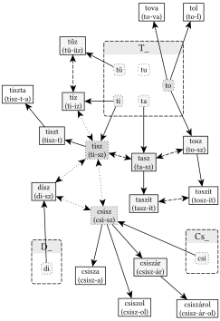 T_, D_ és CS_ gyökvázak kapcsolatai - 