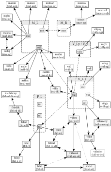 V_L, V_LY, V_J, F_L, M_L és M_R gyökvázak kapcsolatai - 